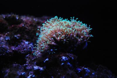 DSC_1053.JPG