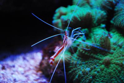 DSC_1050.JPG