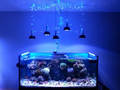 159331d1403992004-full-tank-shots-lets-see-progression-pics-fts-w-lights.jpg