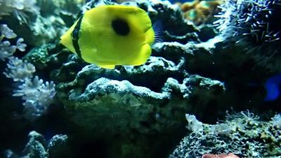 P7070610-1.JPG