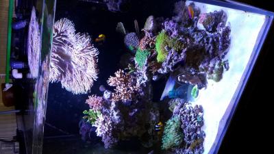 2014-07-06 14.39.23.jpg