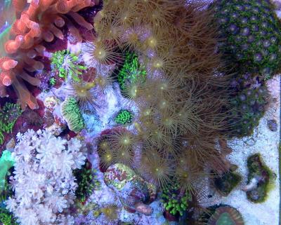 2014-07-22 11.59.11.jpg