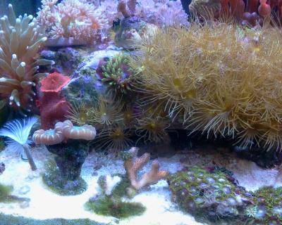 2014-07-22 11.48.45.jpg