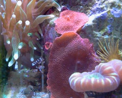 2014-07-22 12.06.12.jpg