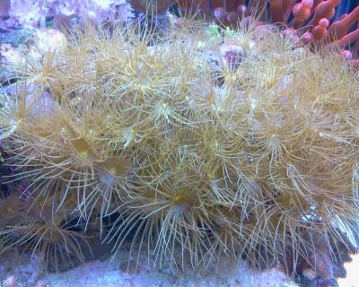 2014-07-22 11.54.48.jpg