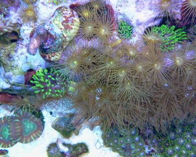 2014-07-22 12.01.42.jpg