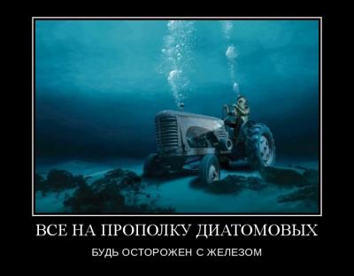 201407281006052891.jpg