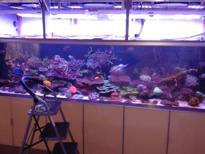 20150704_132837.jpg