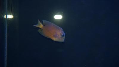 DSC03800.JPG