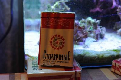 DSC_0085_resize.jpg