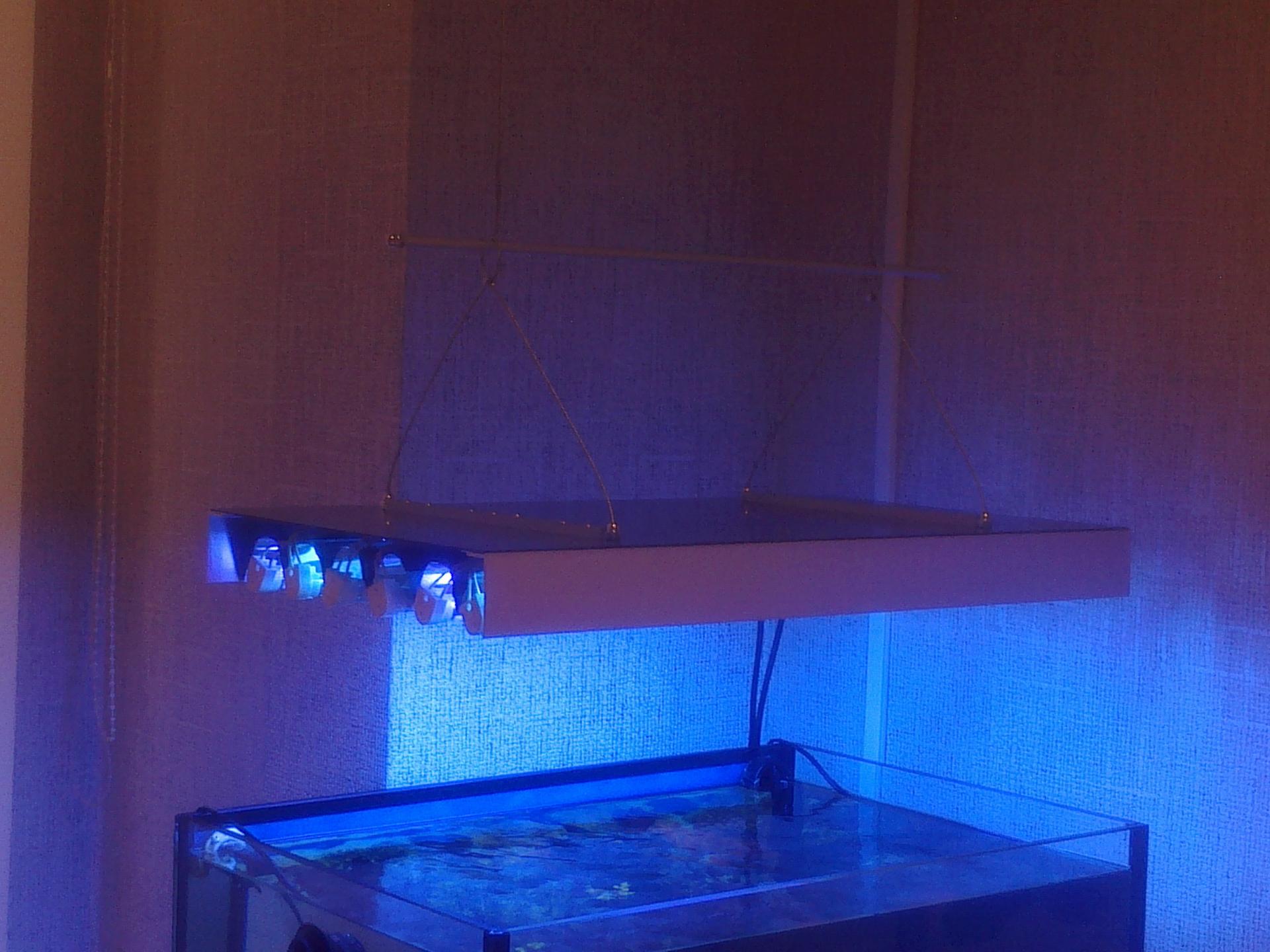 Характерные преимущества LED лампы для морского аквариума