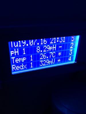 7777.JPG
