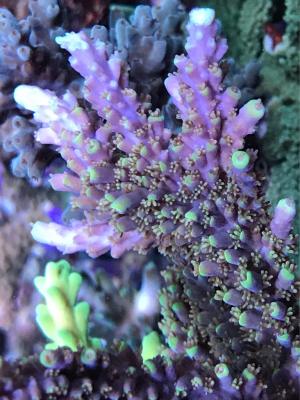 IMG_7538.JPG