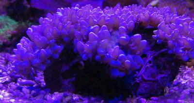 IMG_20170710_232405.jpg