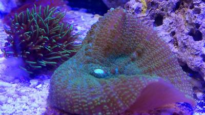 IMG_20170710_232431.jpg