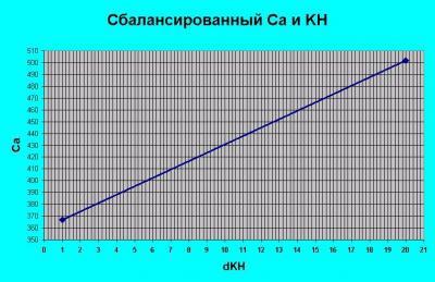 IMG_2446.JPG