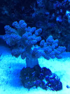 IMG_4754.JPG