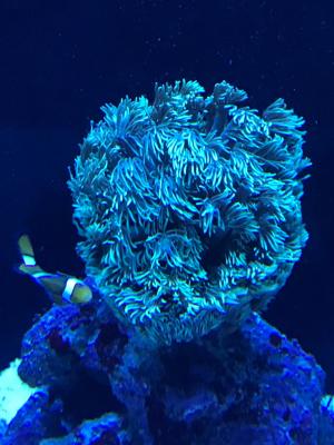 IMG_4758.JPG