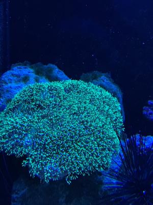 IMG_4756.JPG