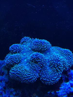 IMG_4755.JPG