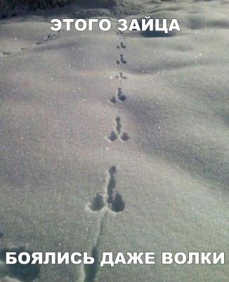 60C7BE47-507A-45B3-AAE2-BF4910D14118.jpeg.ccb8e158a872cd578a4589cfc57d27db.jpeg