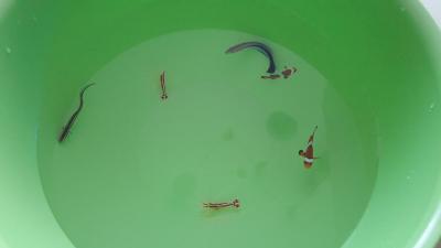 20180725_091941.jpg