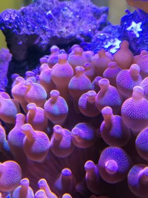 IMG_20190227_183706.jpg
