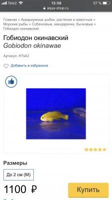 51C4E6B2-E198-4813-B6C3-4EDE41226F0A.png