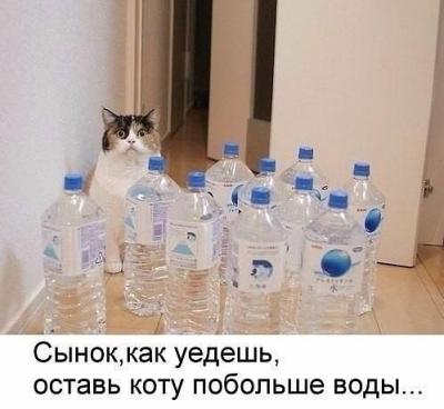 IMG_20190723_175259.jpg