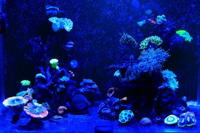 _MG_1407.jpg