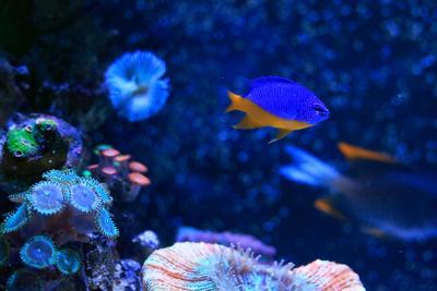 _MG_1466.jpg