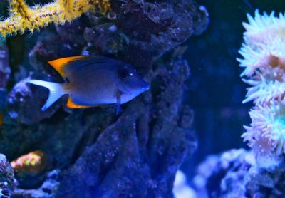 _MG_1469.jpg