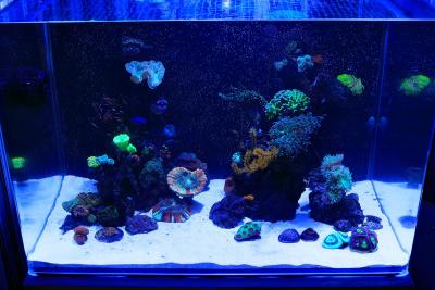 _MG_1425.jpg