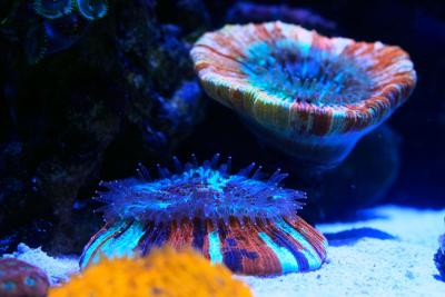 _MG_1697.jpg