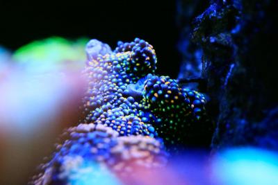 _MG_1370.jpg