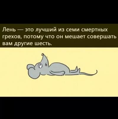 FB_IMG_1562879334020.jpg