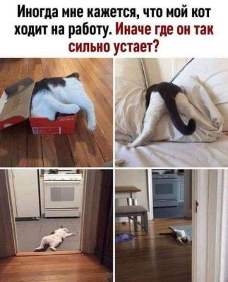 FB_IMG_1562277724424.jpg