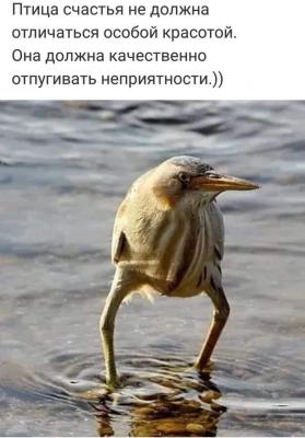 FB_IMG_1562841032902.jpg