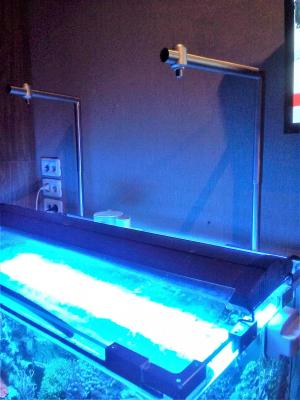 20190721_194254 (2).jpg