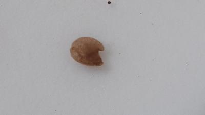 20190716_172417.jpg