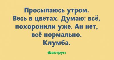 IMG_6554.JPG