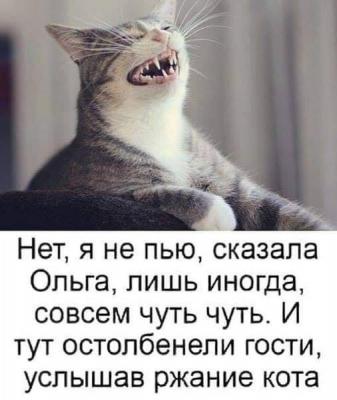 IMG_6576.JPG