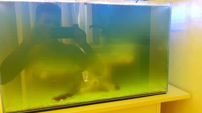 IMG-3890948a9416ae54c5ed2382db96d2e1-V.jpg