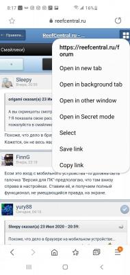 Screenshot_20200724-081733_Samsung Internet.jpg