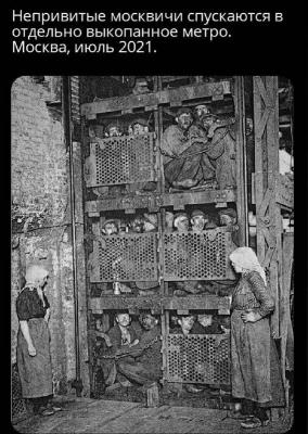 9020507a654a8c33325a4548949b1cb144171a64 (1).jpg