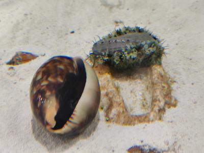 IMG20220710170733.jpg
