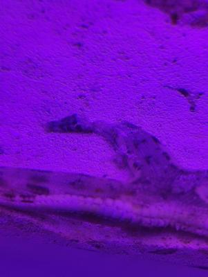 IMG20220711203304.jpg