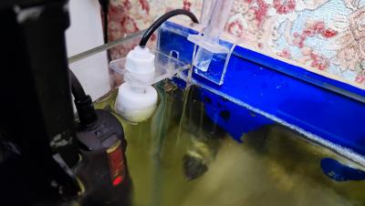 IMG_20220710_232741.jpg