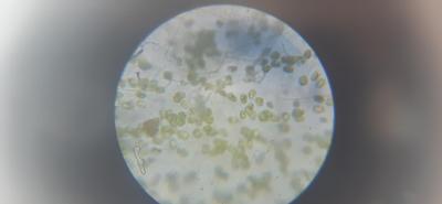 20230717_114644.jpg
