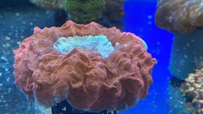 IMG_5883.JPG